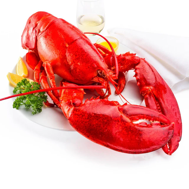 1820g+ North Atlantic Live Lobster - Image 2