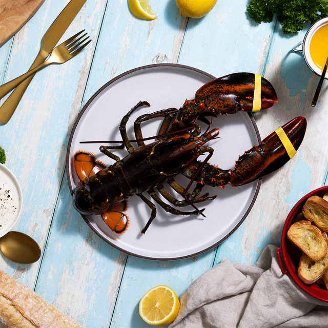 910g+ Live Maine Lobster - Image 7