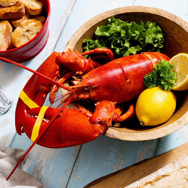910g+ Live Maine Lobster