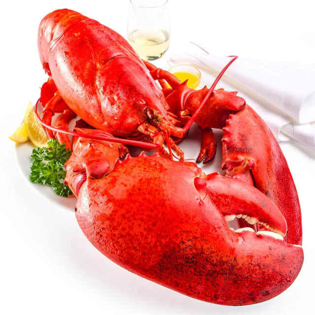 4530g+ North Atlantic Live Lobster