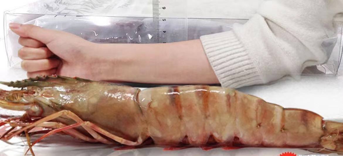 Extra large black tiger prawns, sent live frozen. - Image 6