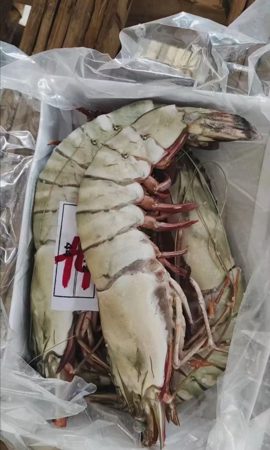 Extra large black tiger prawns, sent live frozen. - Image 2